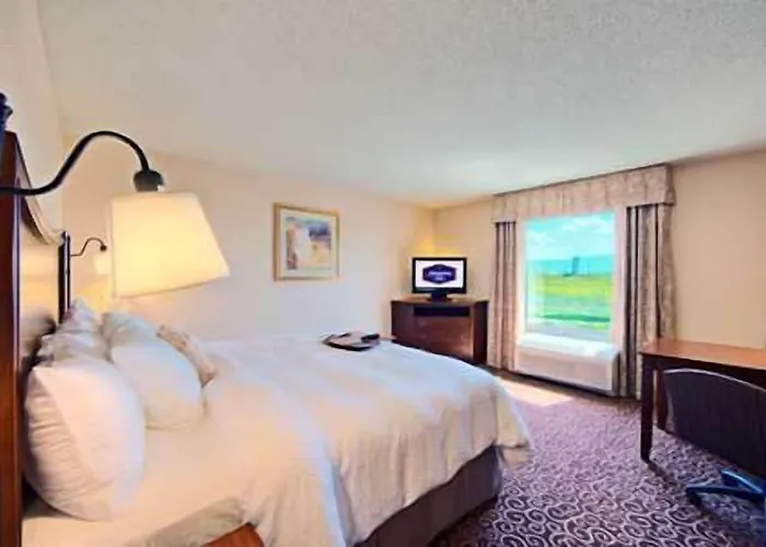 Hampton Hotel 3*